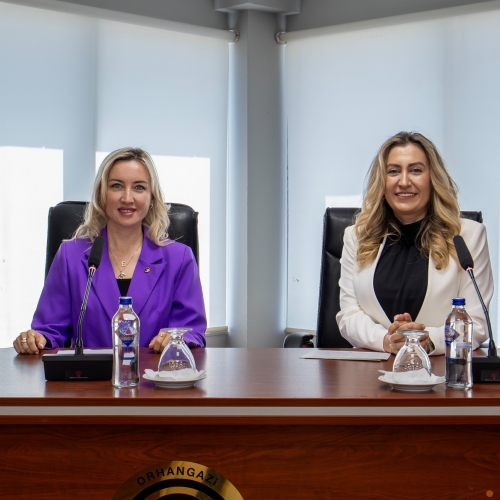 Girişimcilik ve Mesleki Gelişim Mentörlük Ağı projesi