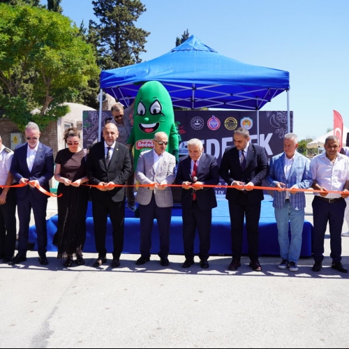 9.Geleneksel Orhangazi Gedelek Turşu Festivali